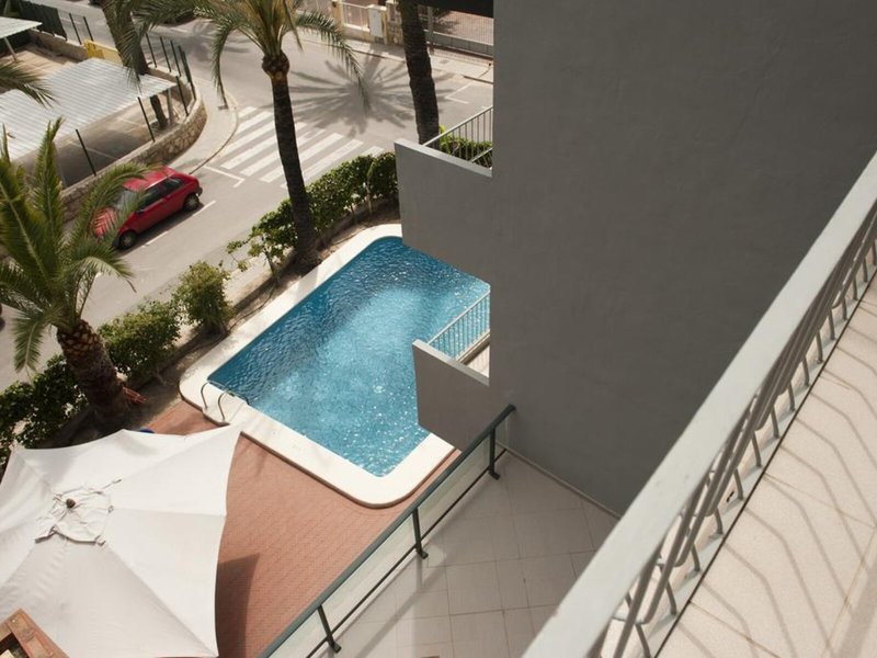 El Palmeral 13