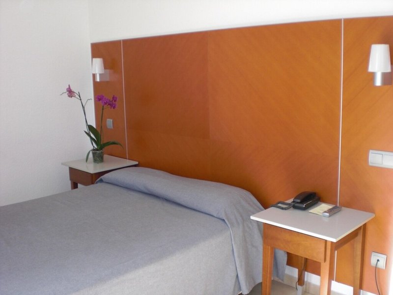 El Palmeral 29