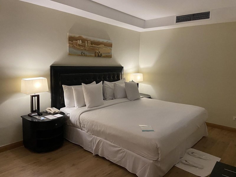 Barceló Cairo Pyramids 25