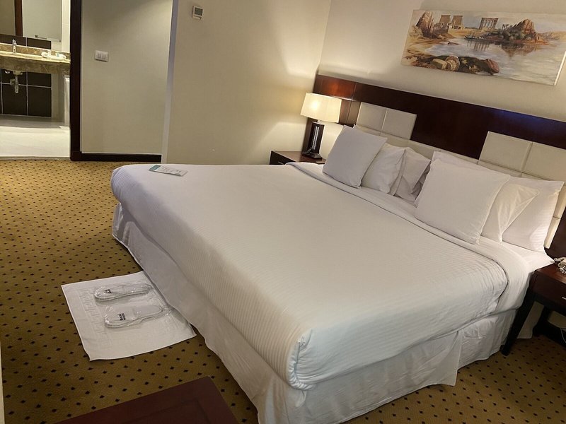 Barceló Cairo Pyramids 44