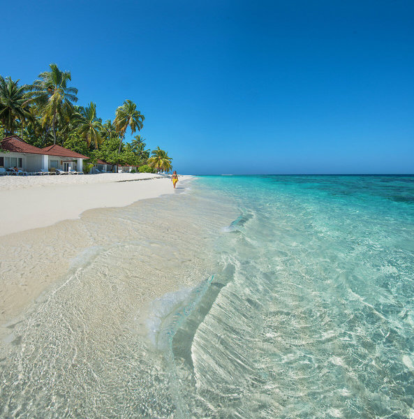 Diamonds Thudufushi Maldives Resort & Spa 17