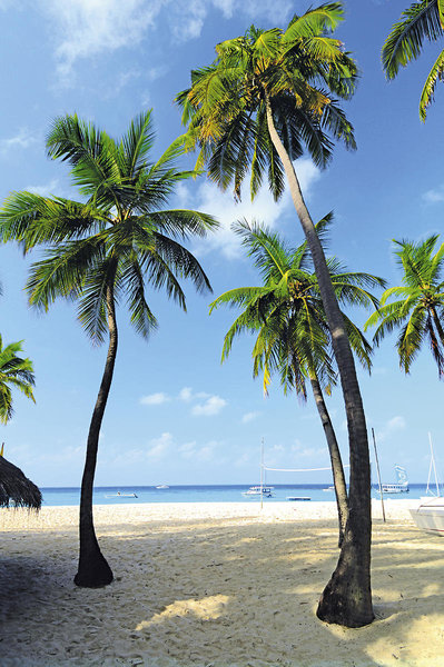 Thulhagiri Island Resort & Spa 8