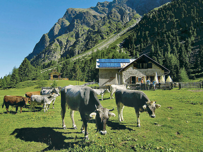 Tia Monte Feichten 32