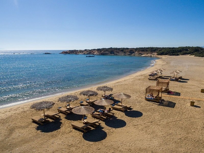 Finikas 6
