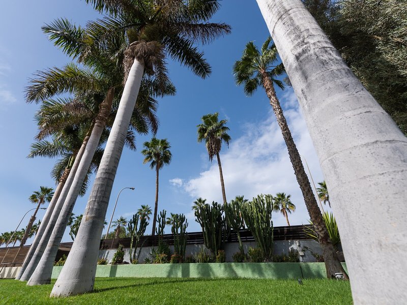 eo Maspalomas Resort 7
