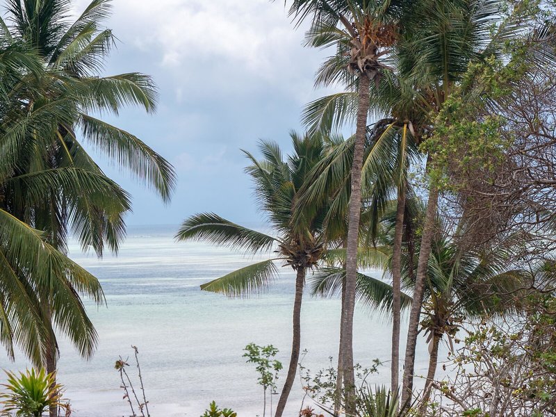 Royal Mandarin Hotel & Resort 9