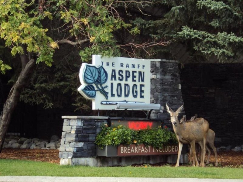 Banff Aspen Lodge 5