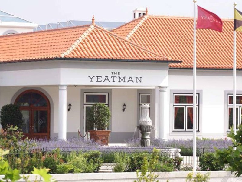 The Yeatman 3