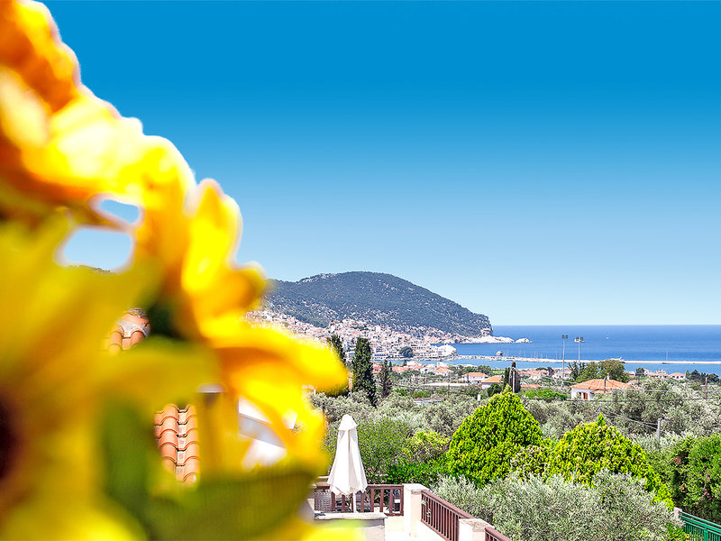 Skopelos Holidays Hotel & Spa 10