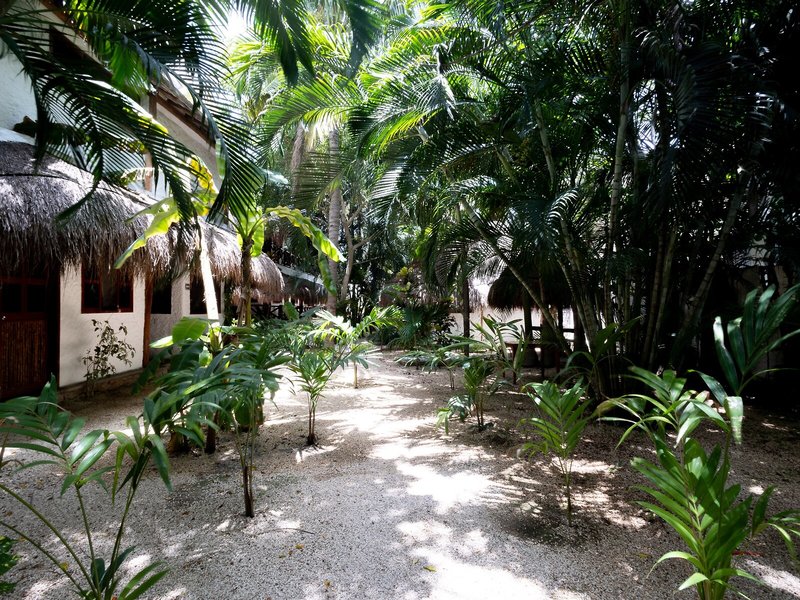 Hotel Casa Barbara 3