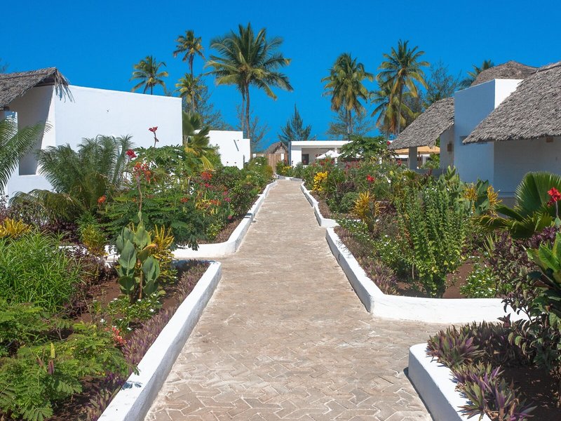 Dhown Inn Zanzibar 14