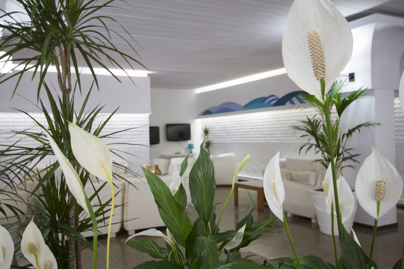 Hotel Villa Garbí 9