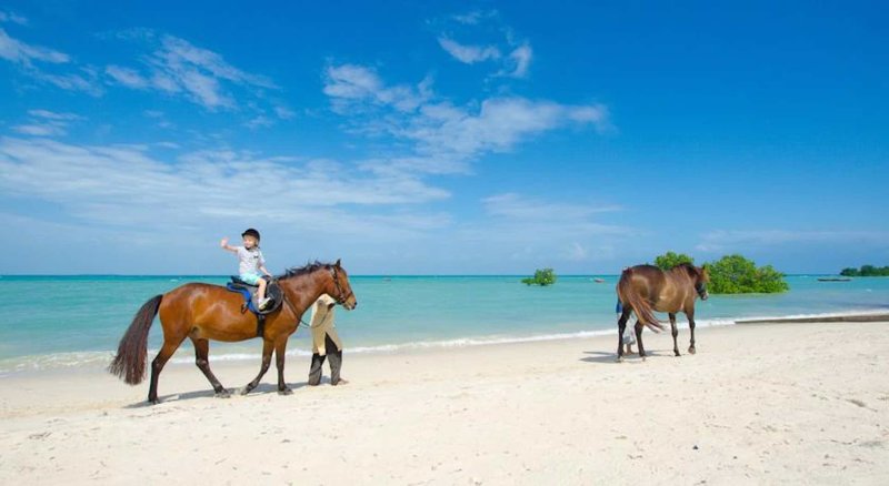 Sea Cliff Resort & Spa 35