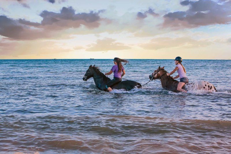 Sea Cliff Resort & Spa 30