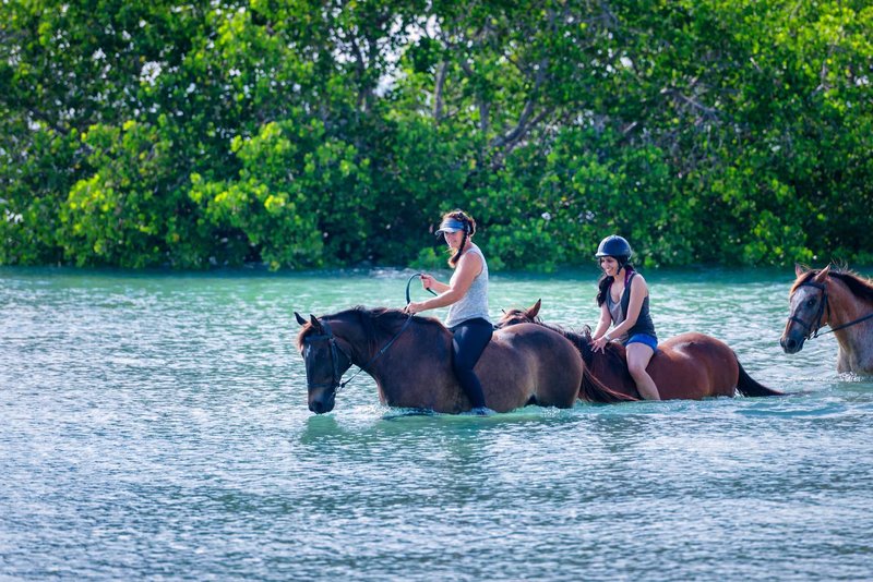 Sea Cliff Resort & Spa 32