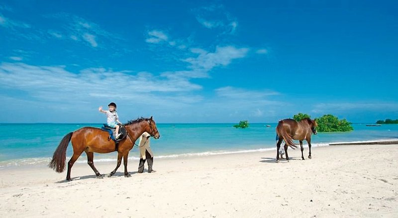 Sea Cliff Resort & Spa 28