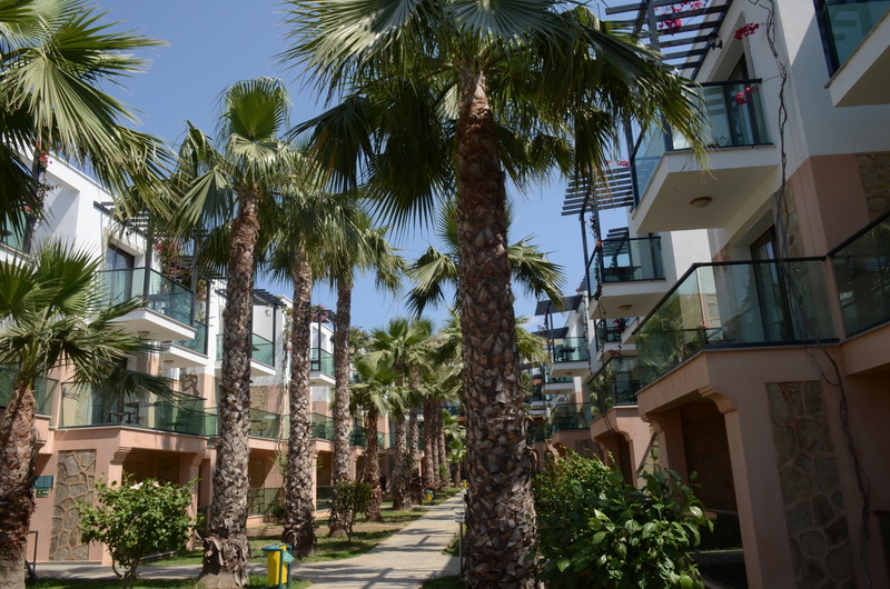 Jasmin Beach Hotel 3