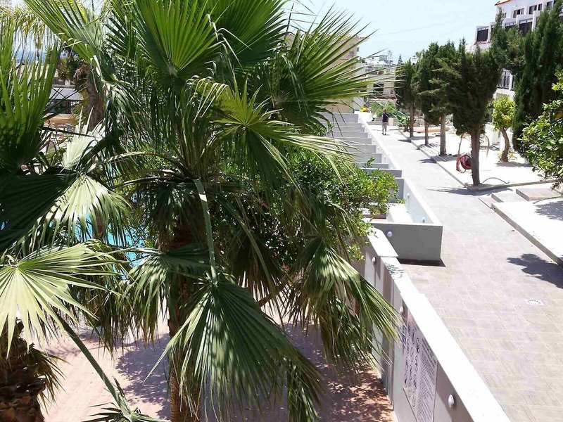 Pambos Napa Rocks - Erwachsenenhotel 1