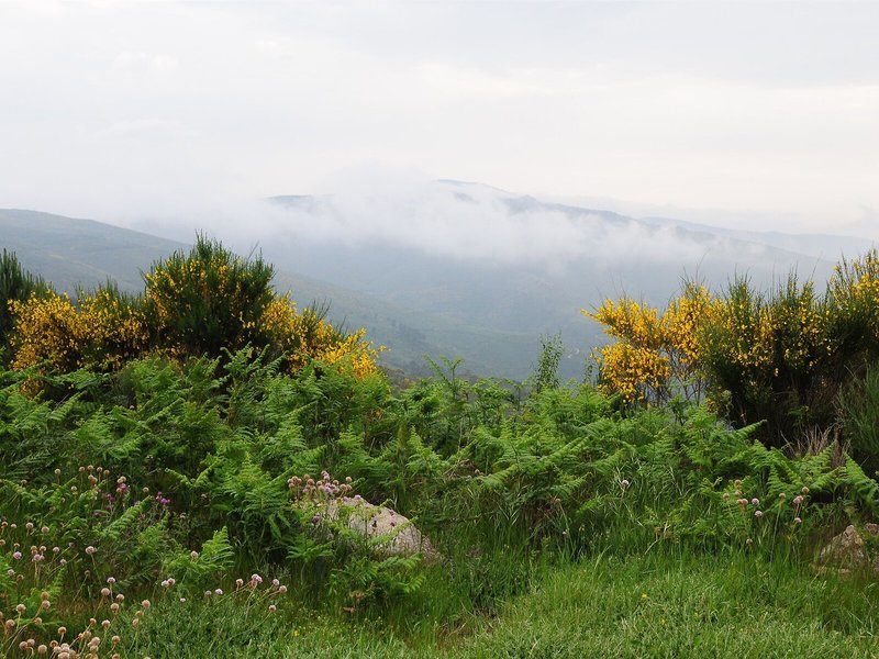Inatel Vila Ruiva 7
