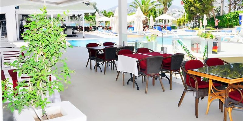 Siesta Beach Apartments 10