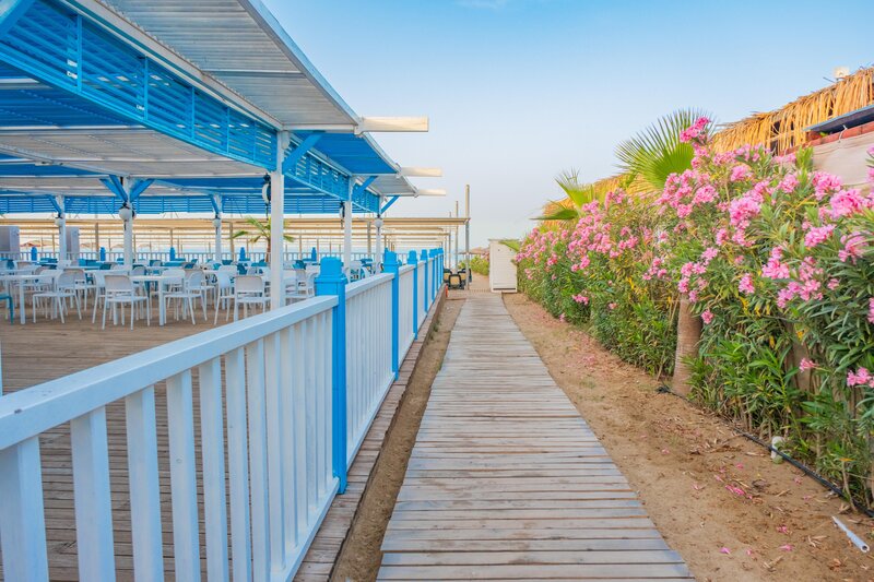 Side Crown Palace 42