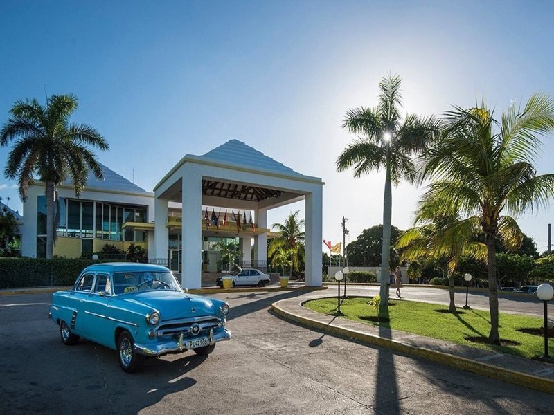 Allegro Palma Real 1