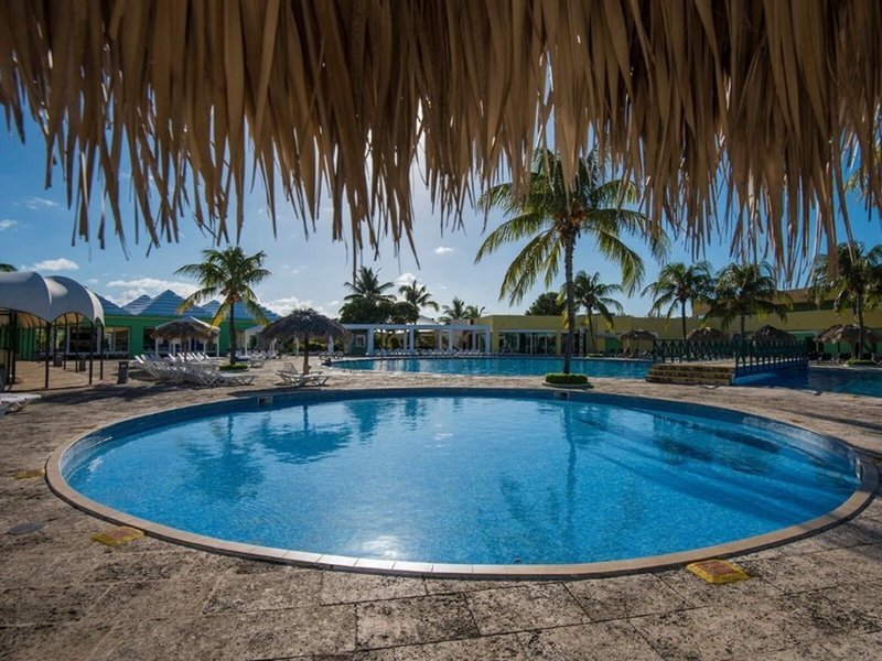 Allegro Palma Real 2