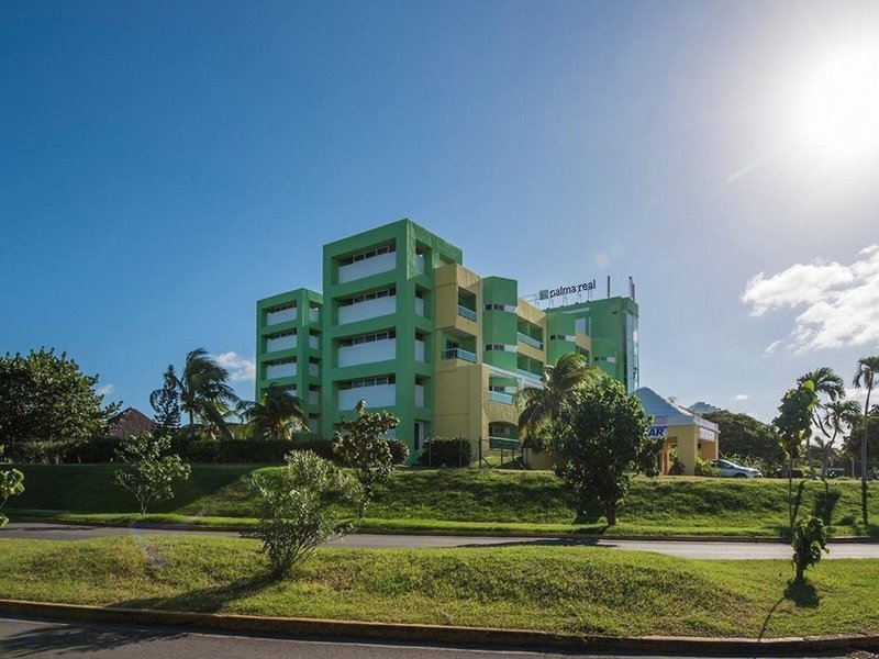 Allegro Palma Real 3