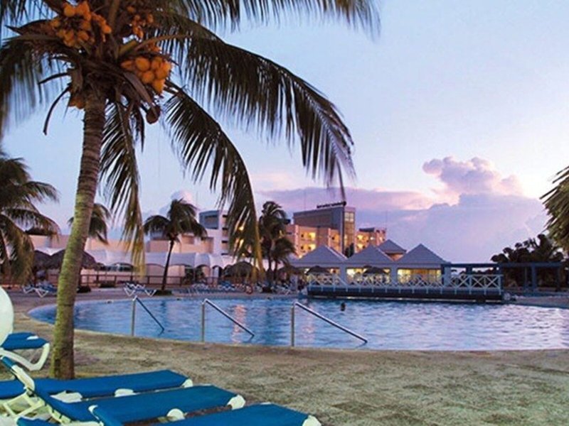 Allegro Palma Real 5