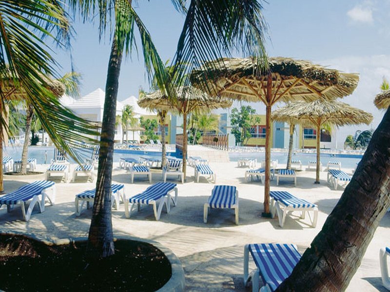 Allegro Palma Real 6