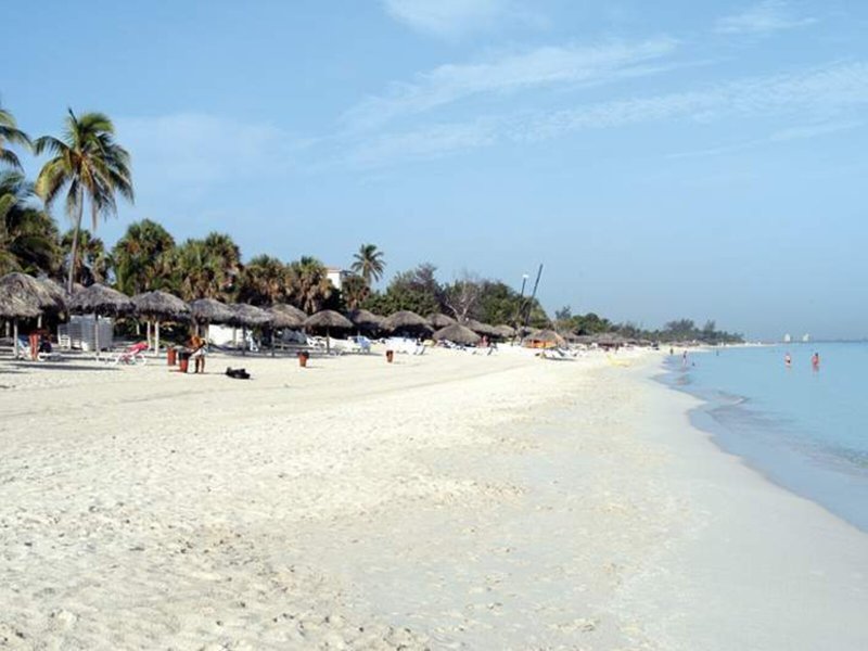 Allegro Palma Real 7