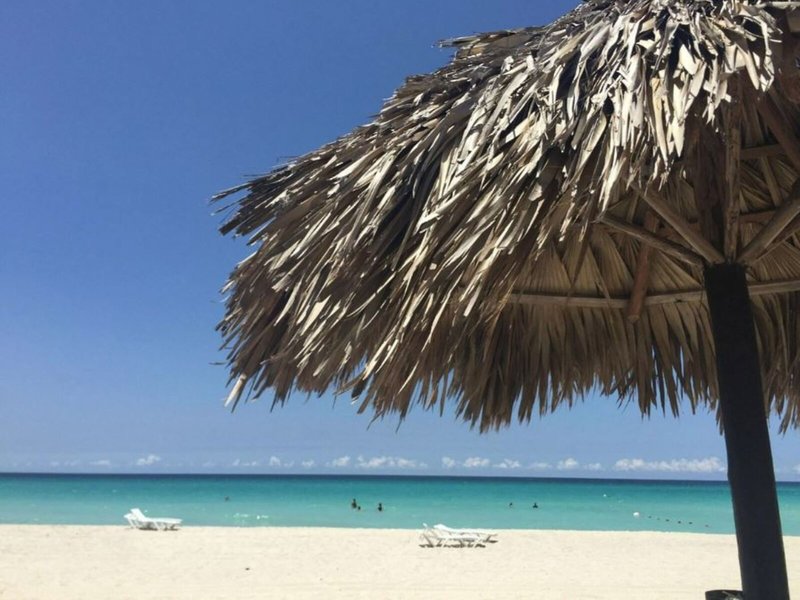 Allegro Palma Real 8