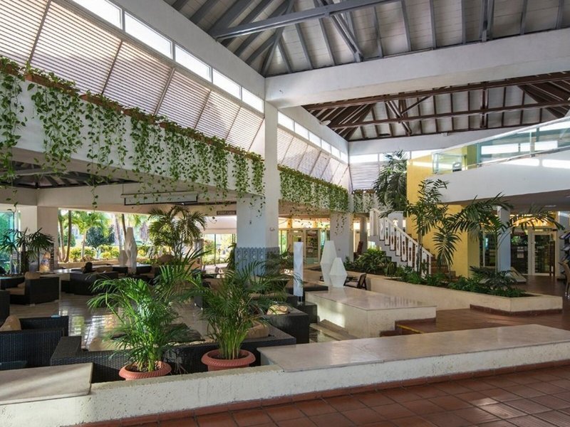 Allegro Palma Real 11