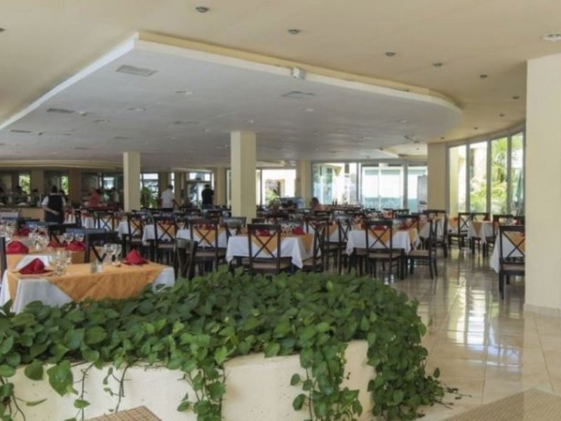 Allegro Palma Real 13