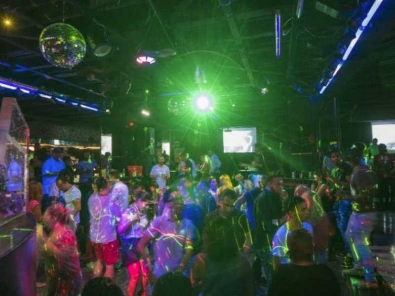 Allegro Palma Real 16