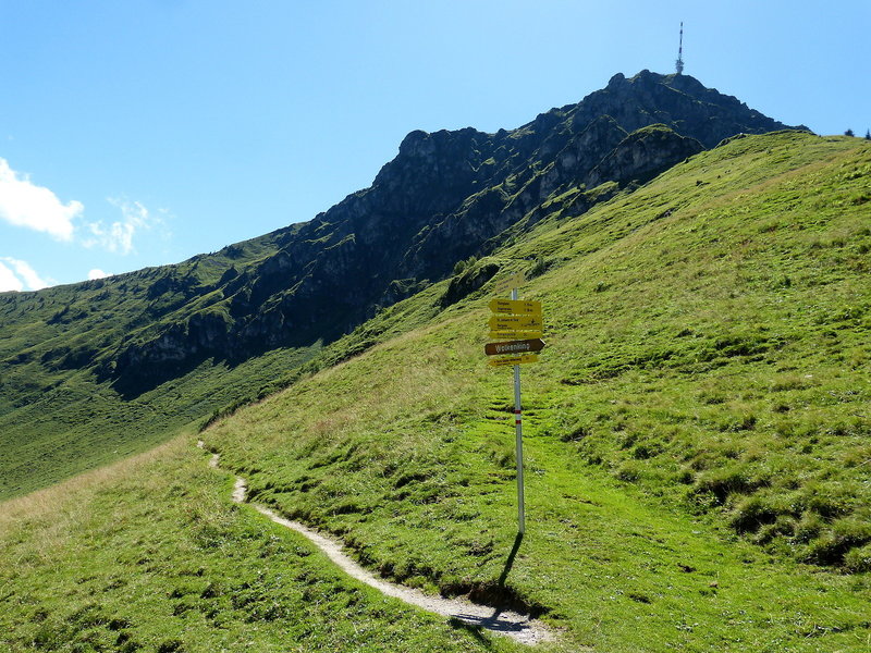 lti alpenhotel Kaiserfels 9