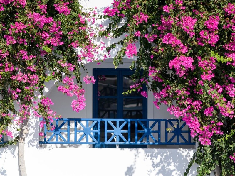 Veggera Hotel 24