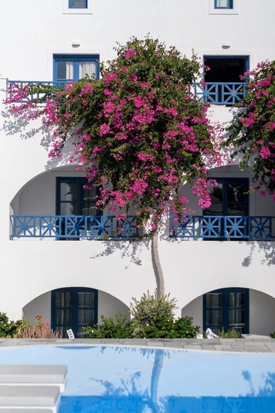Veggera Hotel 25