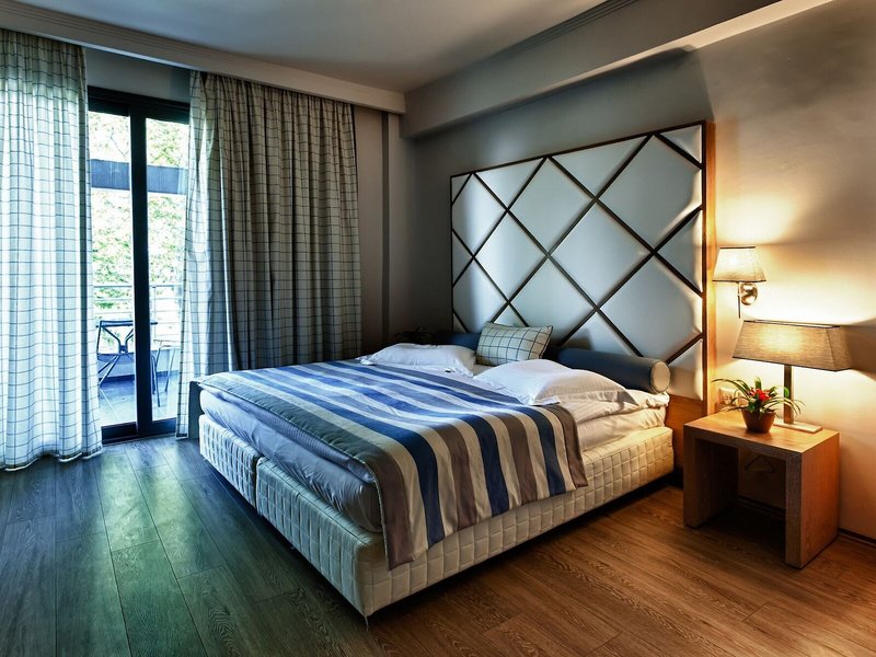 Boutique Hotel Olympus Thea 23 - Room Example