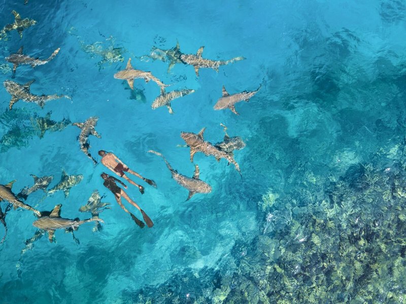 Anantara Veli Resort & Spa 31