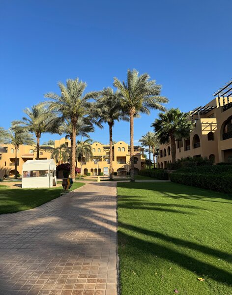 Stella Di Mare Gardens Resort & Spa Makadi Bay 44