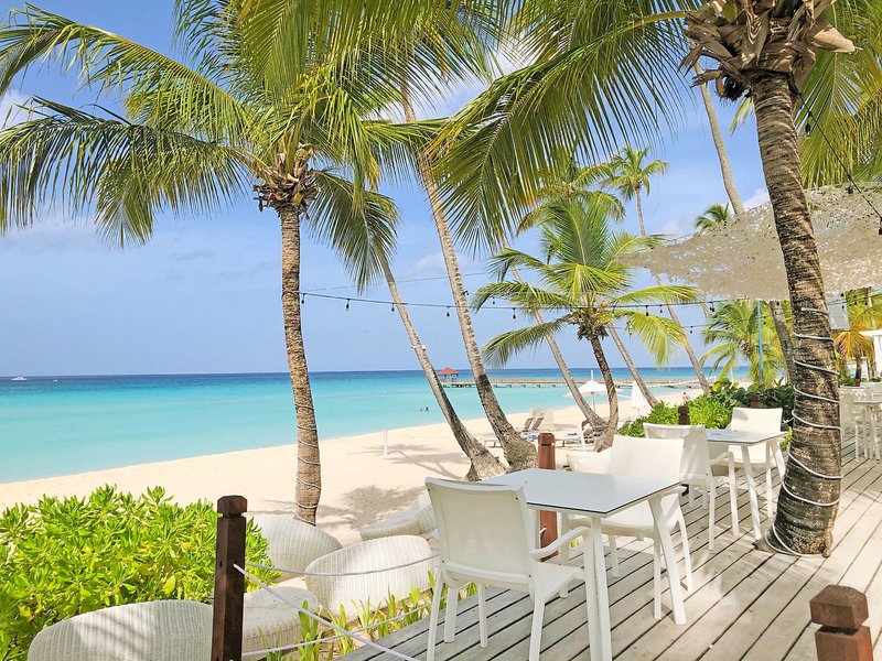Catalonia Bayahibe 9