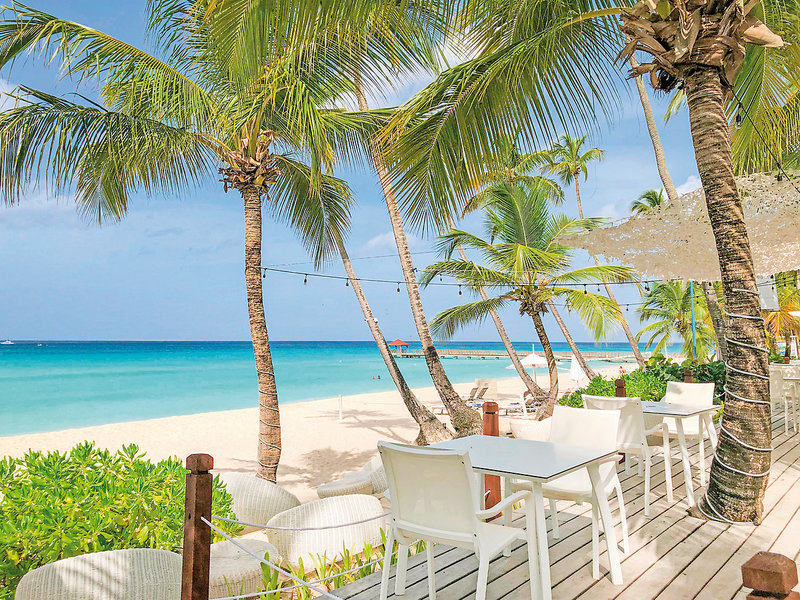 Catalonia Gran Dominicus 7