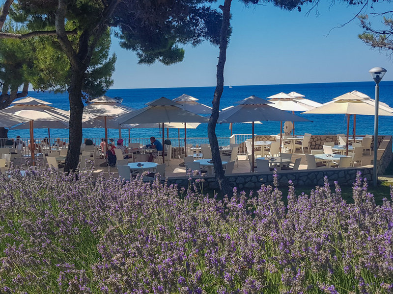 Family Hotel Vespera 41