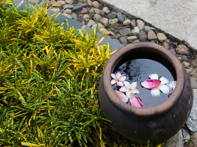 TTC Resort Premium - Ke Ga 2