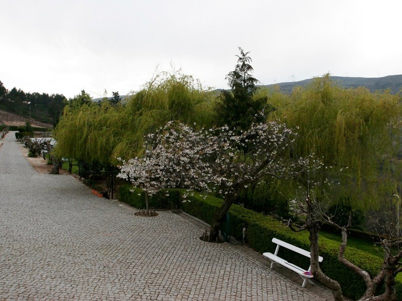 Quinta da Timpeira 3