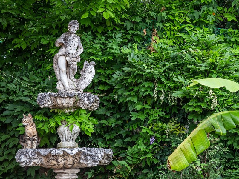 Victoria Hill Hotel 8