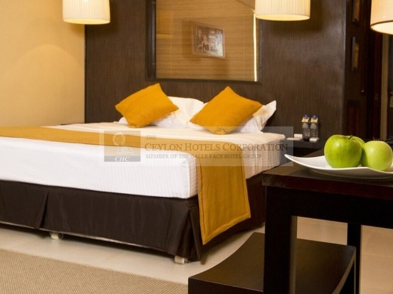 Ekho Safari Tissa 20