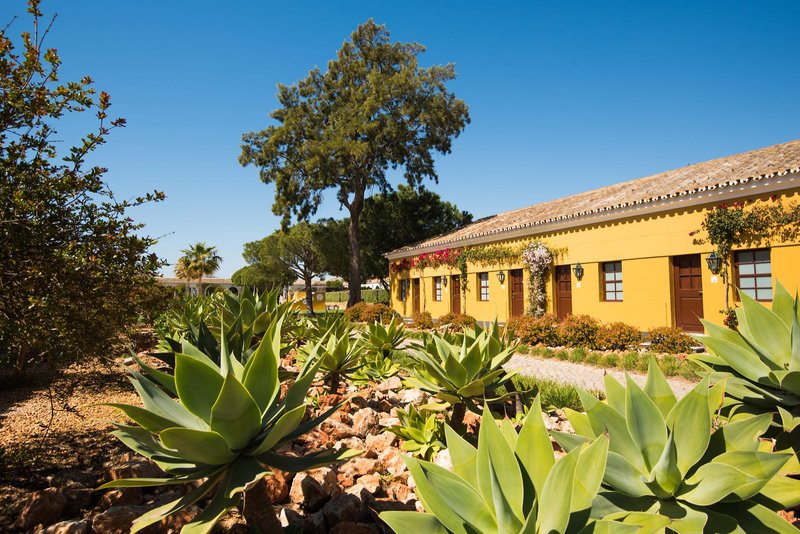 Vila Gale Albacora 11