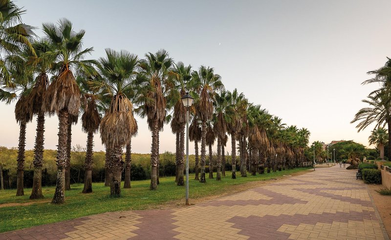 Iberostar Isla Canela 32